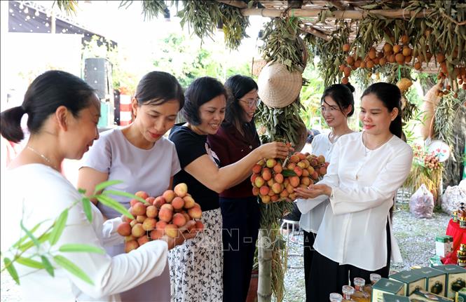 Đại biểu tham quan các gian hàng sản phẩm OCOP xã Phúc Hoà. Ảnh: Danh Lam - TTXVN 