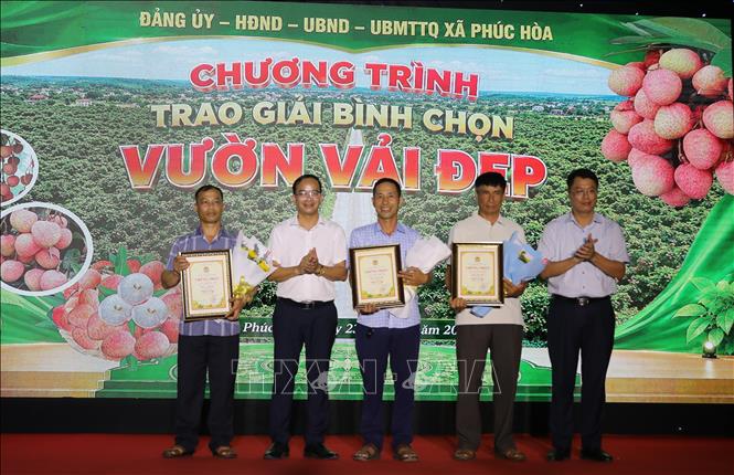 Trao giải Cuộc thi “Vườn vải đẹp” năm 2026. Ảnh: Danh Lam - TTXVN