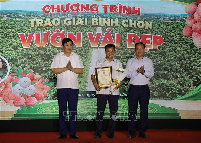 Trao giải nhất Vườn vải đẹp. Ảnh: Danh Lam - TTXVN