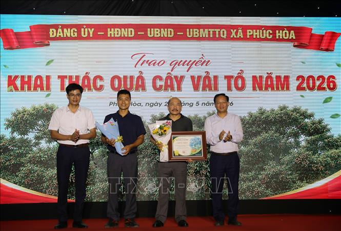 Trao và nhận quyền khai thác quả Cây Vải tổ cho đơn vị trúng giá quyền khai thác quả trên cây vải tổ năm 2026. Ảnh: Danh Lam - TTXVN