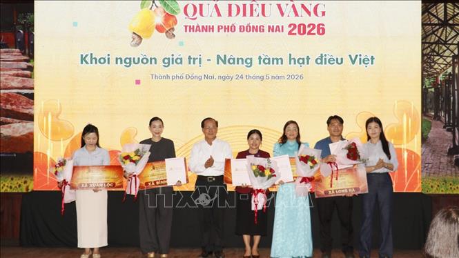Ban tổ chức trao giải cho các đơn vị tại Hội thi ẩm thực “Hương vị ba miền – Câu chuyện cây Điều”. Ảnh: Nhật Bình – TTXVN.