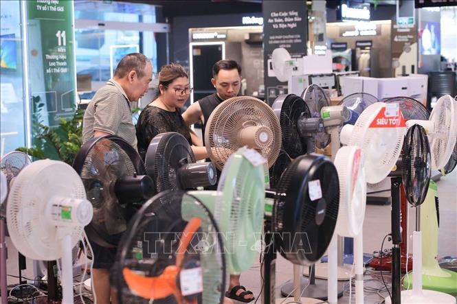 Người dân tìm mua các sản phẩm quạt điện, quạt tích điện tại Siêu thị điện máy PICO (Nguyễn Trãi). Ảnh: Hoàng Hiếu - TTXVN