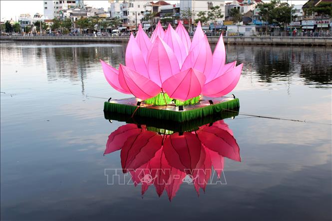 Mỗi đóa hoa sen được cố định bằng vật liệu nổi trên sông Cà Ty đảm bảo an toàn tàu thuyền đi lại. Ảnh: Hồng Hiếu - TTXVN