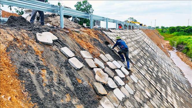 Công nhân Công ty cổ phần Tập đoàn Thành Huy thi công ốp taluy. Ảnh: Hữu Quyết – TTXVN
