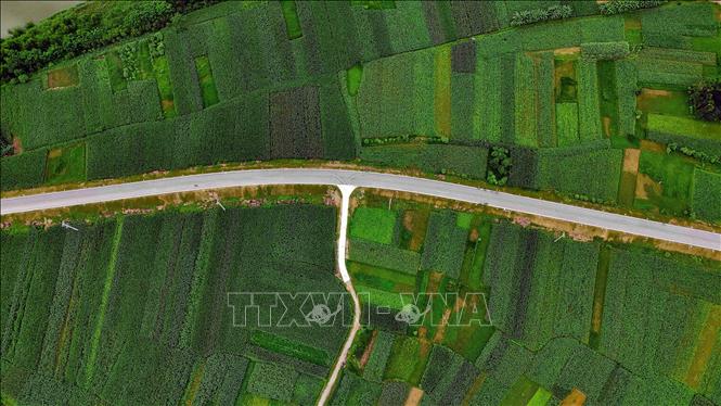 Dự án nâng cấp, mở rộng Quốc lộ 8C đoạn từ xã Tứ Mỹ đến nút giao đường Hồ Chí Minh (xã Hương Sơn) dài 16,7km. Ảnh: Hữu Quyết - TTXVN