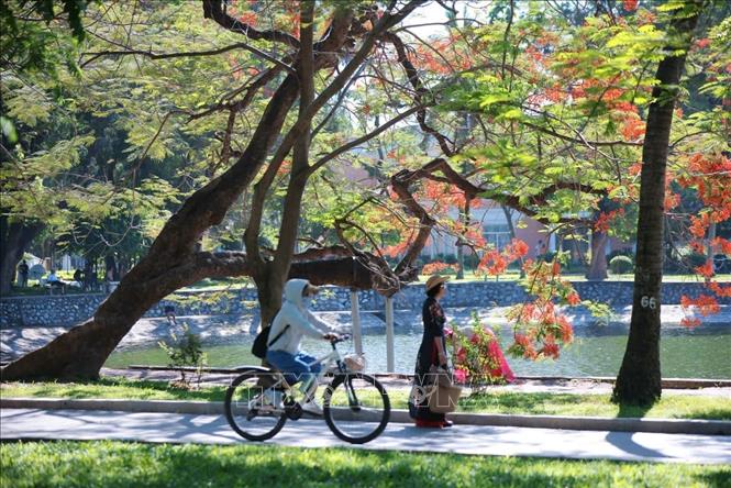 Nhằm bảo vệ và nâng cao sức khỏe trước tác động của nắng nóng, khuyến cáo người lao động hoặc di chuyển ngoài trời phải có các biện pháp phòng chống sốc nhiệt. Ảnh: Hoàng Hiếu - TTXVN