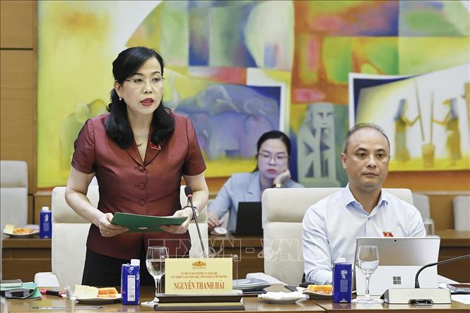 Chủ nhiệm Ủy ban Khoa học, Công nghệ và Môi trường của Quốc hội Nguyễn Thanh Hải phát biểu. Ảnh: Doãn Tấn - TTXVN