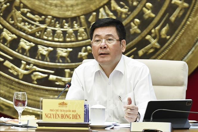 Phó Chủ tịch Quốc hội Nguyễn Hồng Diên phát biểu. Ảnh: Doãn Tấn - TTXVN