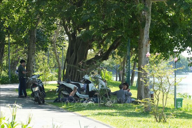 Tránh nắng nóng gay gắt dưới cây xanh trong công viên bờ Bắc sông Hương, phường Phú Xuân (Huế). Ảnh: Nguyên Lý-TTXVN