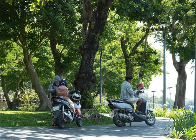 Tránh nắng nóng gay gắt dưới cây xanh trong công viên bờ Bắc sông Hương, phường Phú Xuân (Huế). Ảnh: Nguyên Lý-TTXVN