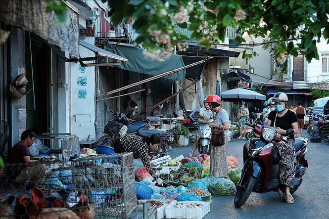 Mới 6 giờ, cảnh mua bán tại các chợ trong các khu dân cư đã diễn ra tấp nập, bởi ai cũng muốn tranh thủ kết thúc việc chuẩn bị cho bữa ăn trong ngày từ sớm để đến công sở hoặc ở trong nhà khi nắng đã lên. Ảnh: Phạm Tuấn Anh - TTXVN