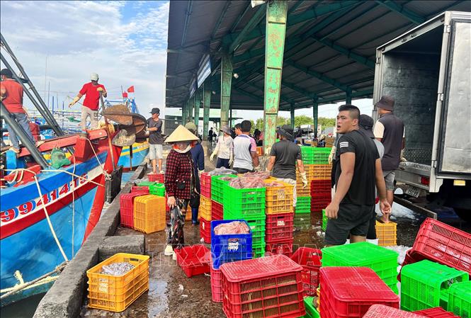 Các loại hải sản được thương lái thu mua ngay tại cảng để phân phối đến nhiều địa phương trong và ngoài tỉnh. Ảnh: Hồng Hiếu - TTXVN