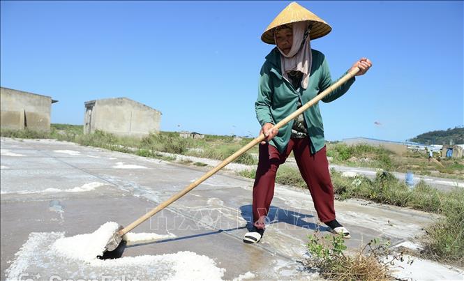 Dù nhiệt độ ngoài trời có thể lên tới hơn 40 độ C nhưng những diêm dân làng muối Tam Hòa vẫn đang 