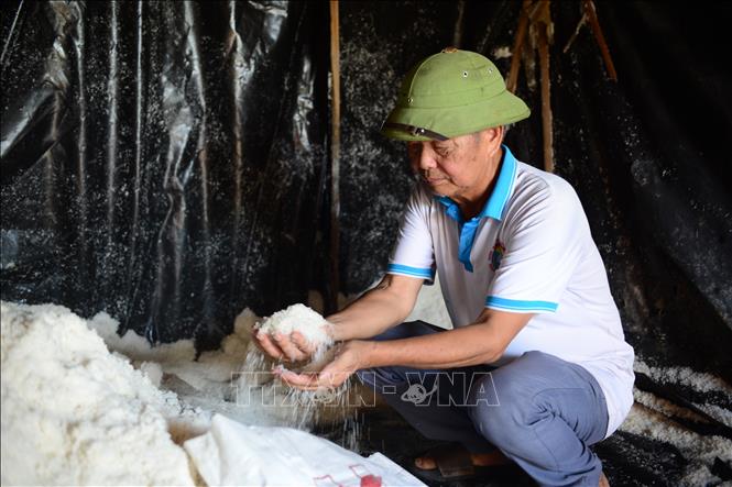 Vất vả là vậy, nhưng thu nhập từ nghề muối lại rất bấp bênh, giá muối lên xuống theo thị trường, lúc cao chỉ 2.500 đồng/kg, lúc thấp chỉ còn 800-1.200 đồng/kg. Ảnh: Hoa Mai - TTXVN


