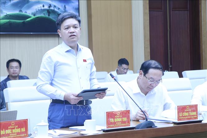 Phó Chủ nhiệm Ủy ban Khoa học, Công nghệ và Môi trường của Quốc hội Tạ Đình Thi phát biểu tại buổi làm việc. Ảnh: Thu Hương - TTXVN