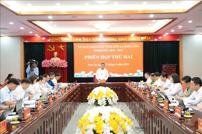 Quang cảnh Phiên họp. Ảnh: Nguyễn Cường - TTXVN