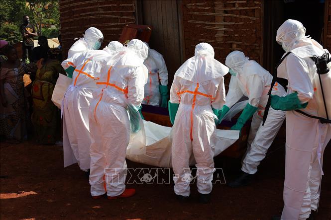 Nhân viên y tế chuyển thi thể bệnh nhân Ebola tại thị trấn Mongbwalu, tỉnh Ituri, CHDC Congo ngày 24/5/2026. Ảnh: THX/TTXVN