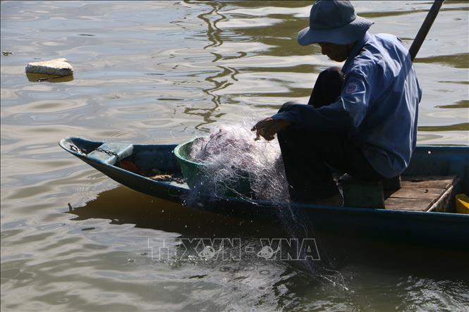 Nhiều dòng sông ở Cần Thơ không còn dồi dào tôm cá. Ảnh: Duy Khương – TTXVN