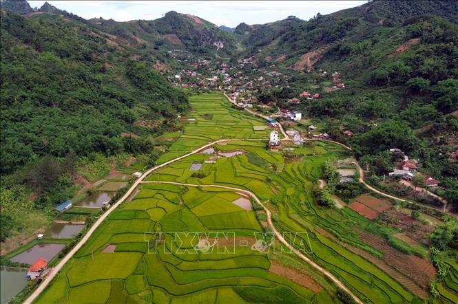 Ruộng bậc thang tại bản Hùn, phường Chiềng Cơi, tỉnh Sơn La. Ảnh: Quang Quyết - TTXVN