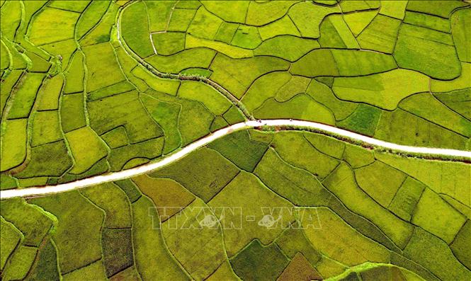 Ruộng bậc thang tại bản Hùn, phường Chiềng Cơi, tỉnh Sơn La. Ảnh: Quang Quyết - TTXVN
