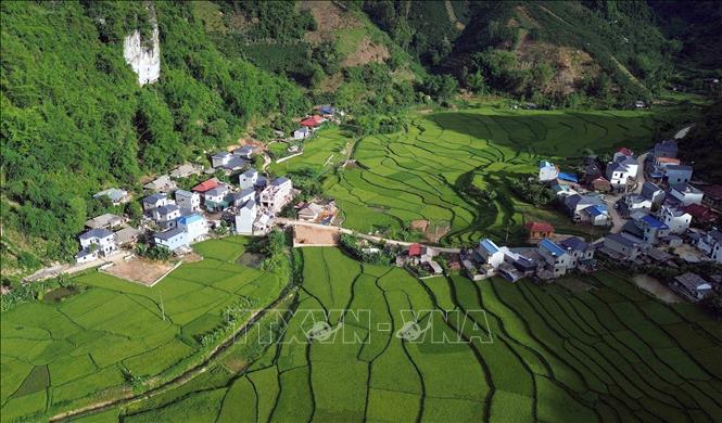 Ruộng bậc thang tại bản Bon, xã Muổi Nọi, tỉnh Sơn La. Ảnh: Quang Quyết - TTXVN