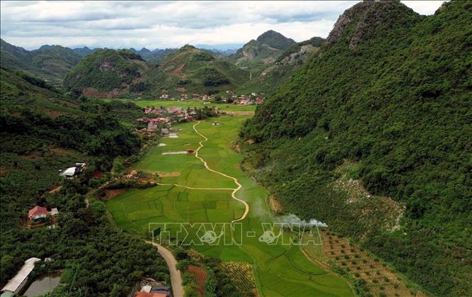 Ruộng bậc thang tại bản Hôm, phường Chiềng Cơi, tỉnh Sơn La. Ảnh: Quang Quyết - TTXVN
