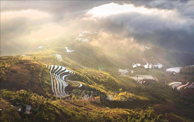 Những thửa ruộng bậc thang mùa đổ nước ở bản Làng Sáng đẹp như tranh. Ảnh: Trọng Đạt - TTXVN