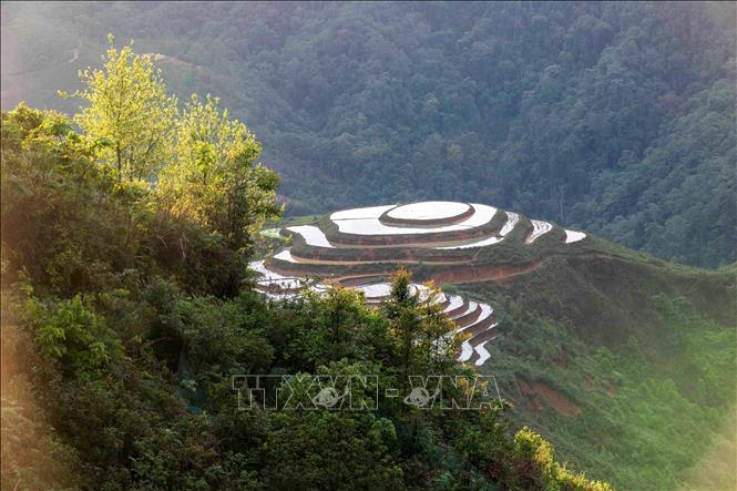 Những thửa ruộng bậc thang mùa đổ nước như những tấm gương trời ở bản Làng Sáng. Ảnh: Trọng Đạt - TTXVN