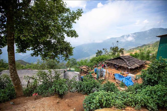 Thành lập năm 1988, bản Làng Sáng nằm ở vùng lõi của rừng đặc dụng Tà Xùa, với đa phần là người Mông. Ảnh: Trọng Đạt - TTXVN
