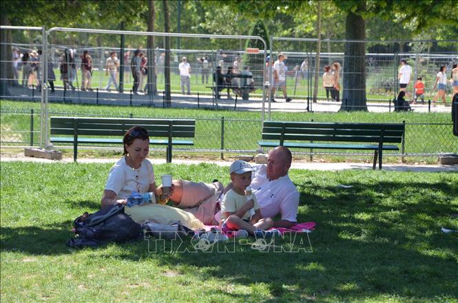 Một gia đình tránh nóng dưới bóng mát trong một công viên ở thủ đô Paris. Ảnh: Hữu Chiến - P/v TTXVN tại Pháp