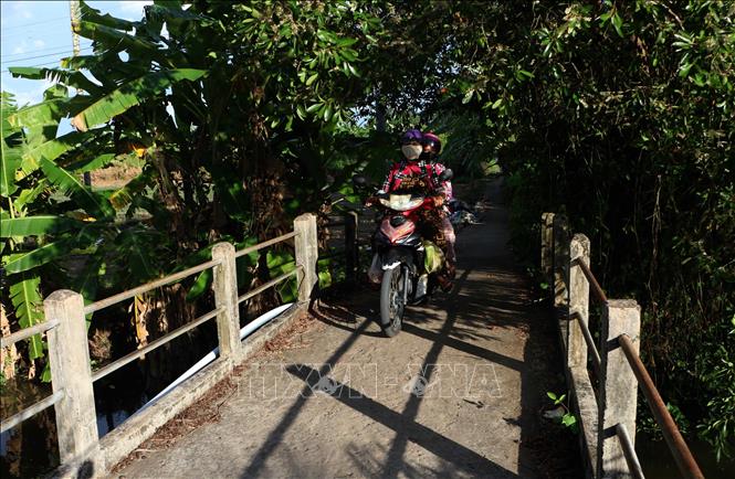 Cây cầu bê tông cốt thép tại  phường Vị Tân, thành phố Cần Thơ. Ảnh: Duy Khương - TTXVN