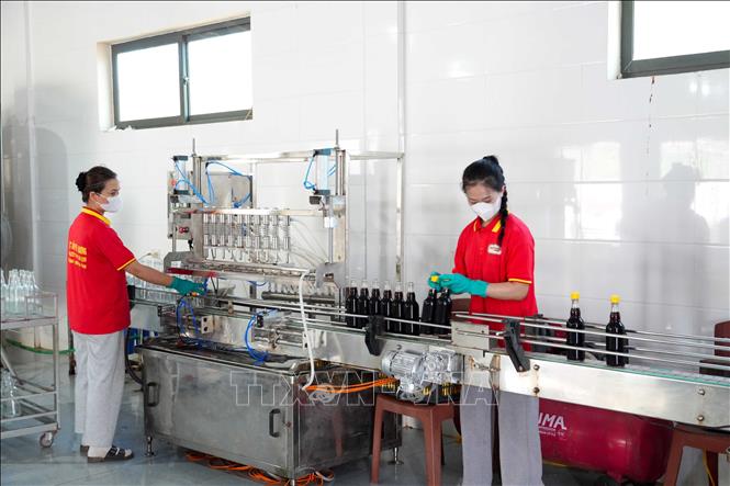 Dây chuyền đóng chai tự động giúp tăng năng suất sản xuất nước mắm Phú Khương. Ảnh: Hữu Quyết – TTXVN