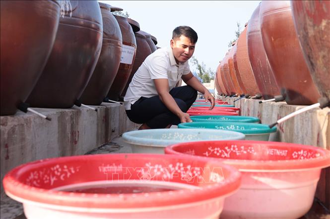 Mỗi năm có khoảng 700 nghìn lít nước mắm truyền thống Luận Nghiệp được bán ra thị trường trong và ngoài nước. Ảnh: Hữu Quyết – TTXVN