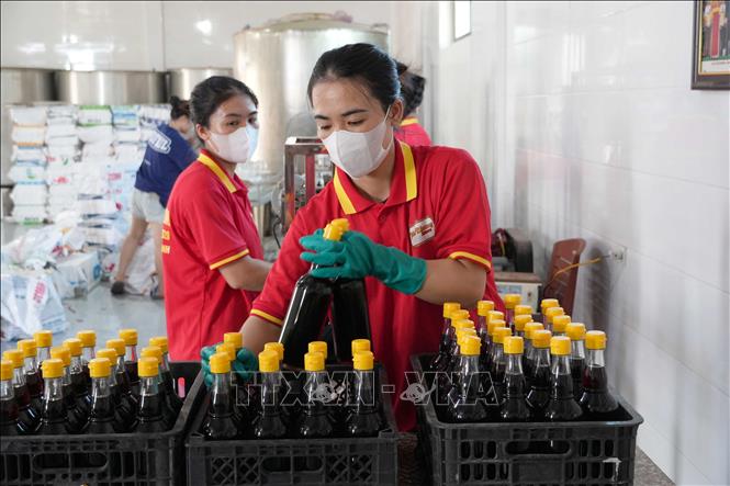 Sản phẩm nước mắm Phú Khương được sản xuất theo quy trình khép kín giúp đảm bảo vệ sinh an toàn thực phẩm. Ảnh: Hữu Quyết – TTXVN