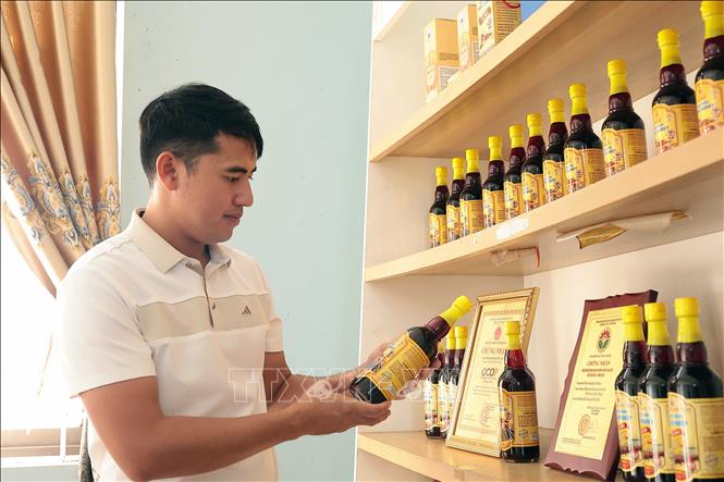 Sản phẩm nước mắm Luận Nghiệp của Hợp tác xã Thu mua và Chế biến thủy hải sản Chiến Thắng (phường Hải Ninh) đạt tiêu chuẩn OCOP 5 sao quốc gia.Ảnh: Hữu Quyết – TTXVN
