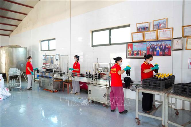 Dây chuyền chiết rót, đóng chai tự động tại Hợp tác xã Thu mua và Chế biến thủy hải sản Phú Khương. Ảnh: Hữu Quyết – TTXVN