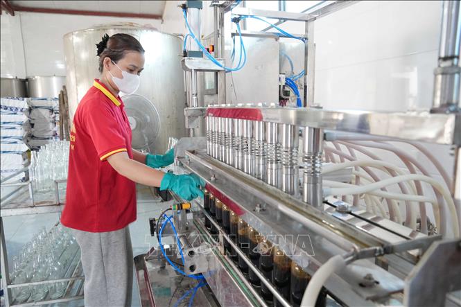 Thành viên Hợp tác xã Thu mua và Chế biến thủy hải sản Phú Khương vận hành dây chuyền đóng chai tự động. Ảnh: Hữu Quyết – TTXVN