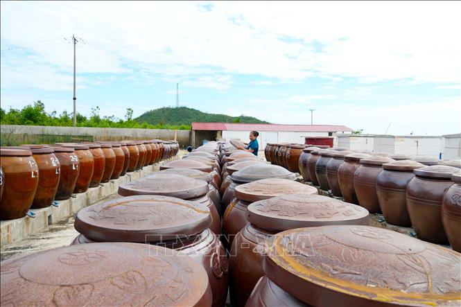 Hệ thống chum sành dùng để ủ chượp sản phẩm nước mắm truyền thống Phú Khương. Ảnh: Hữu Quyết – TTXVN