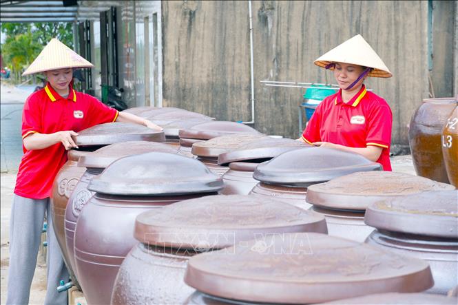 Để đạt tiêu chuẩn OCOP 5 sao, nước mắm Phú Khương được kiểm tra chất lượng hàng ngày. Ảnh: Hữu Quyết – TTXVN