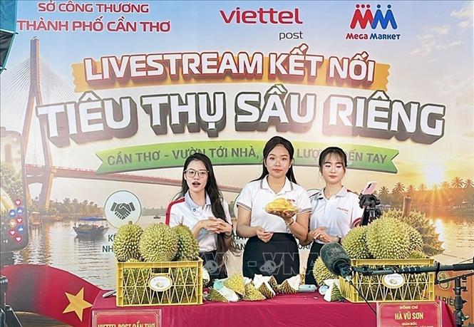 Phiên livestream bán sầu riêng diễn ra tại siêu thị MM Mega Market Hưng Lợi, thành phố Cần Thơ ngày 28/5/2026. Ảnh: Thanh Liêm - TTXVN