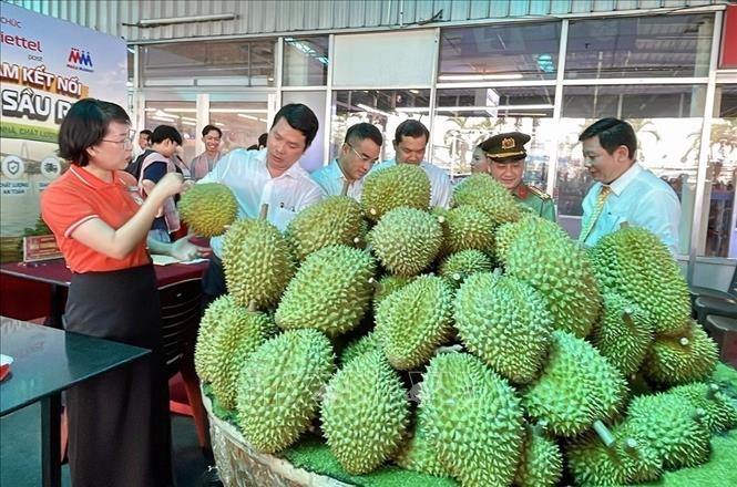 Sở Công Thương thành phố Cần Thơ tổ chức kết nối tiêu thụ sầu riêng tại siêu thị MM Mega Market Hưng Lợi ngày 28/5/2026. Ảnh: Thanh Liêm - TTXVN