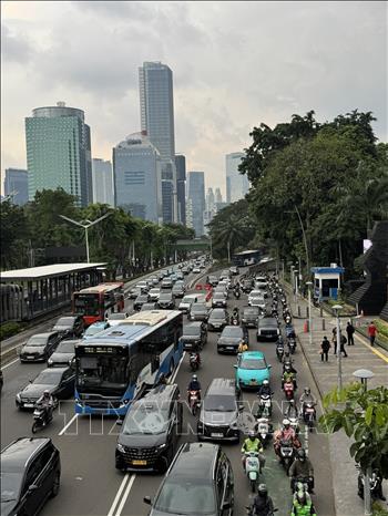 Những chiếc xe buýt trên đường phố Jakarta. Ảnh: Đỗ Quyên – PV TTXVN tại Indonesia