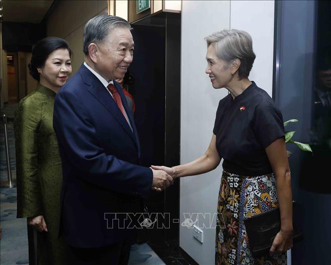Các quan chức Singapore đón Tổng Bí thư, Chủ tịch nước Tô Lâm và Phu nhân tại sân bay quốc tế Changi, Singapore. Ảnh: Thống Nhất – TTXVN