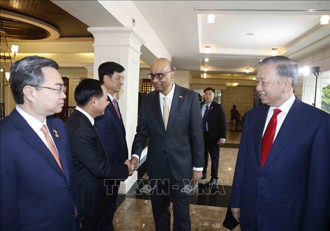 Tổng Bí thư, Chủ tịch nước Tô Lâm giới thiệu với Tổng thống Singapore Tharman Shanmugaratnam thành viên đoàn đại biểu cấp cao Việt Nam dự Lễ đón. Ảnh: Thống Nhất – TTXVN