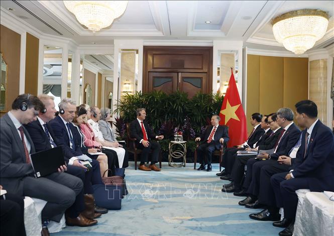 Tổng Bí thư, Chủ tịch nước Tô Lâm tiếp Phó Thủ tướng, Bộ trưởng Quốc phòng Australia Richard Marles. Ảnh: Thống Nhất – TTXVN