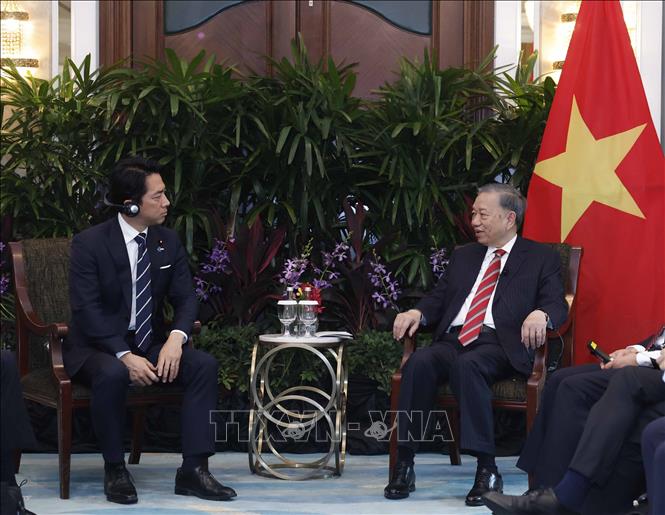 Tổng Bí thư, Chủ tịch nước Tô Lâm tiếp Bộ trưởng Quốc phòng Nhật Bản Shinjiro Koizumi. Ảnh: Thống Nhất – TTXVN