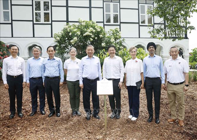 Tổng Bí thư, Chủ tịch nước Tô Lâm và Thủ tướng Singapore Lawrence Wong cùng các đại biểu dự lễ trồng cây tại Vườn Bách thảo Singapore. Ảnh: Thống Nhất – TTXVN