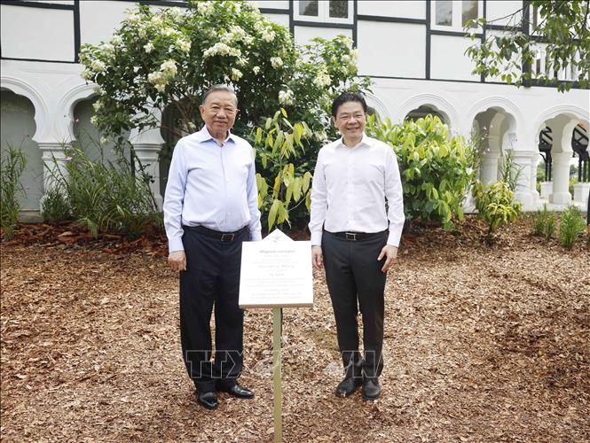 Tổng Bí thư, Chủ tịch nước Tô Lâm và Thủ tướng Singapore Lawrence Wong dự lễ trồng cây tại Vườn Bách thảo Singapore. Ảnh: Thống Nhất – TTXVN