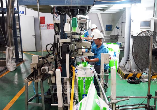 Công nhân sản xuất tại Công ty TNHH Hải Đại (Khu công nghiệp Hòa Phú, xã Phú Quới, tỉnh Vĩnh Long). Ảnh: Phạm Minh Tuấn-TTXVN.