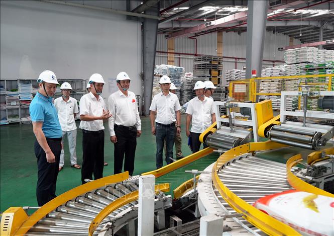 Phó Chủ tịch UBND tỉnh Vĩnh Long Nguyễn Quỳnh Thiện (thứ 4 từ trái sang) tham quan xưởng sản xuất Công ty TNHH Hải Đại (Khu công nghiệp Hòa Phú, xã Phú Quới, tỉnh Vĩnh Long). Ảnh: Phạm Minh Tuấn-TTXVN.